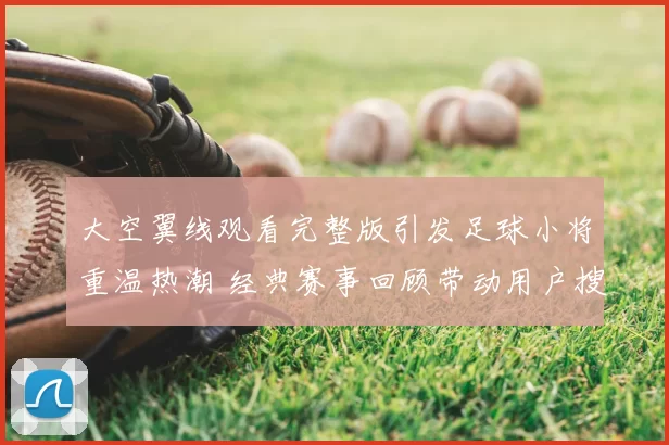 大空翼线观看完整版引发足球小将重温热潮 经典赛事回顾带动用户搜索增长